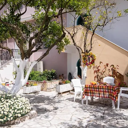 Domus Alta Apartmán