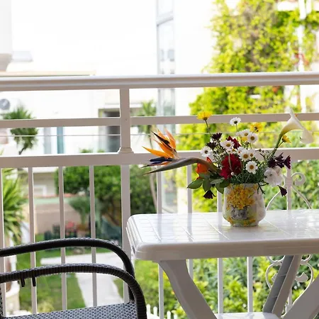 Domus Alta * تسيليفي